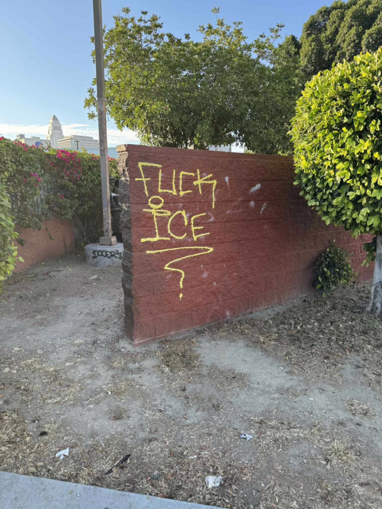 Bizarro-Books-as-Resistance - Bizarro Books as Resistance Mona Swan LeSueur 2