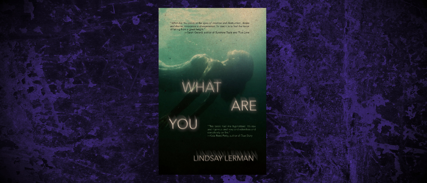 Book-Headers - Header Lindsay Lerman What Are You